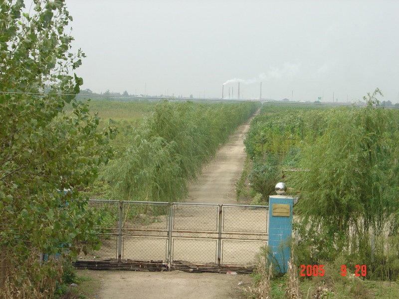 南通錦繡河山(shān)苗木(mù)基地近況（十月）